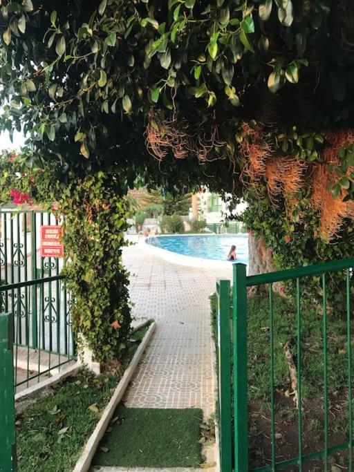 Sea View Relax And Surf Apartment Bajamar  Exterior photo
